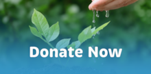 Watering Plants
